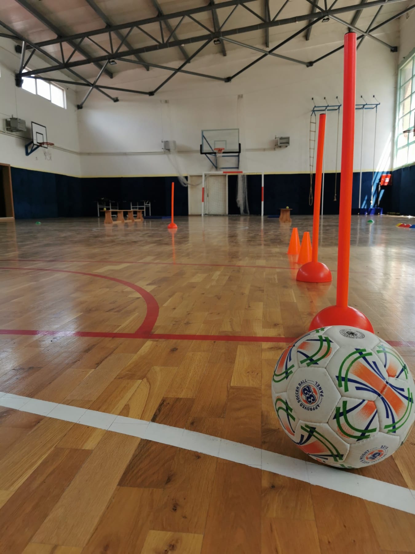 443822594_122171626892035731_2023394036982019502_n