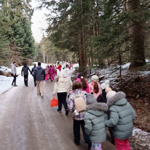 473533439_122215686170035731_3940071633440971973_n