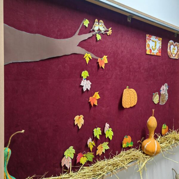 558984537_122255861228035731_7718003129981859028_n