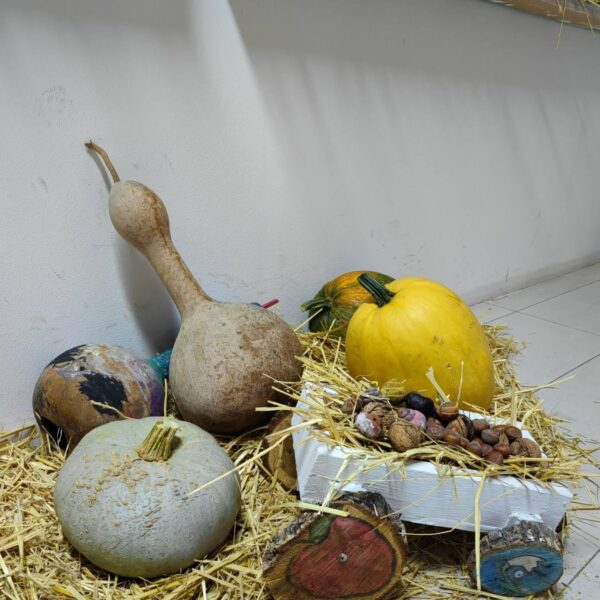 559853777_122255861144035731_8675459830652822262_n